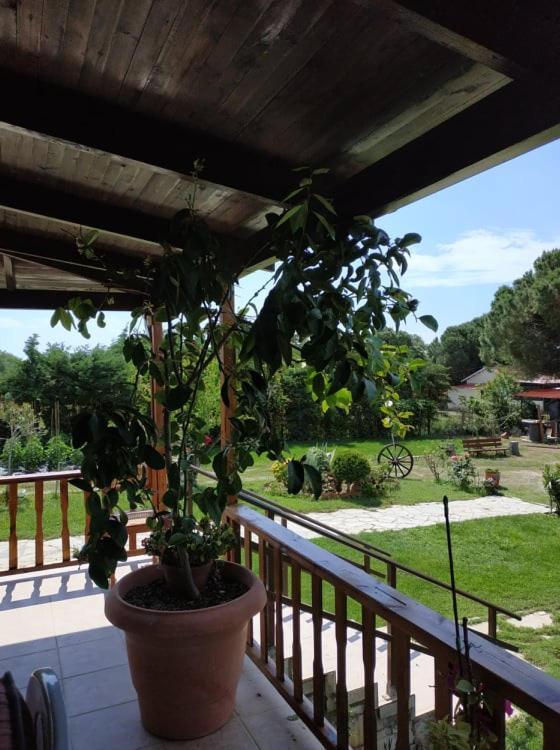 Mesimvria  Ivonnis Garden 빌라 외부 사진