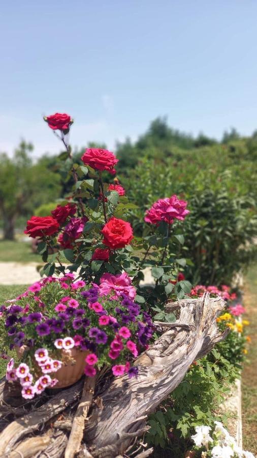 Mesimvria  Ivonnis Garden 빌라 외부 사진