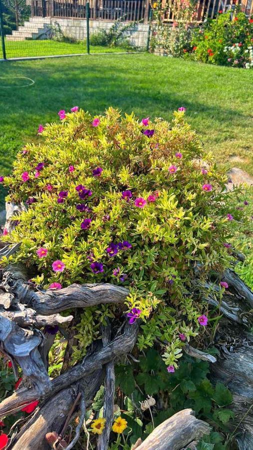 Mesimvria  Ivonnis Garden 빌라 외부 사진