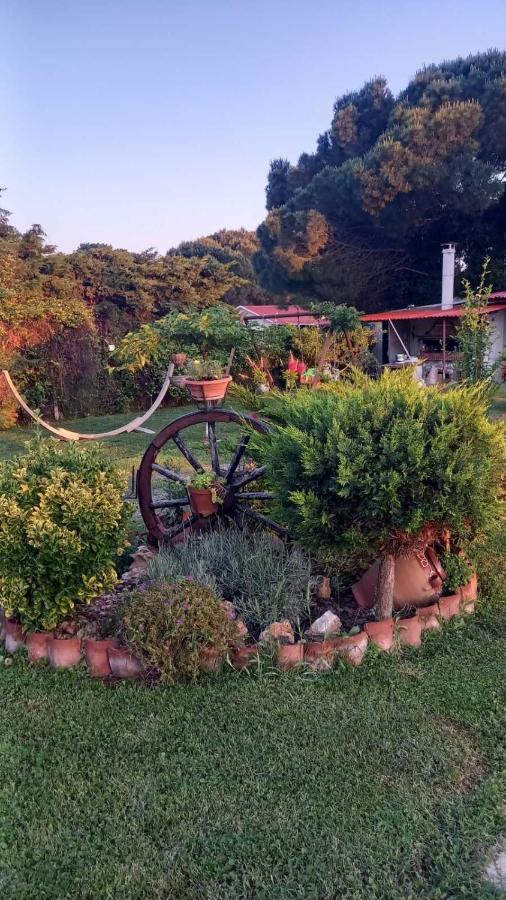 Mesimvria  Ivonnis Garden 빌라 외부 사진